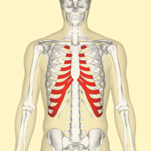 PAIN under my left rib. Anyone else get this? : r/costochondritis